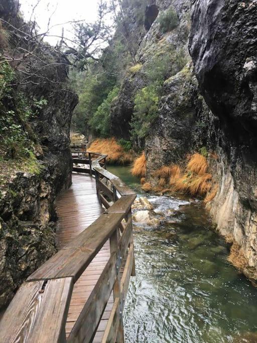 Cazorla Paraiso I, *